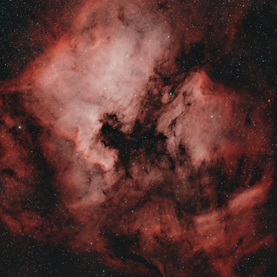 NGC 7000